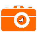 Camera Trap | Trail Camera APK
