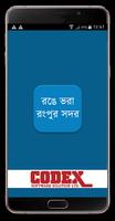 রঙে ভরা রংপুর সদর Affiche