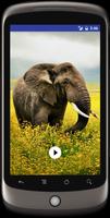 Wild Animal Sounds,Ringtone,WP screenshot 2