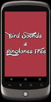Bird Sounds & Ringtones Free Affiche