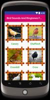 Bird Sounds & Ringtones Free screenshot 2