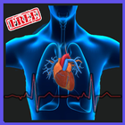 Sistem Kardiovaskular Versi 1.1 icône