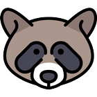 Racoon Cute Wallpaper icon