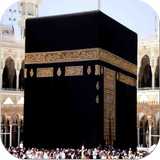 مناسك الحج والعمرة كاملة icon