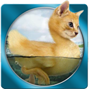 Foto mustahil APK