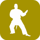 Icona Shaolin Kung Fu Training