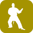 Shaolin Kung Fu Training APK