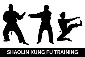 Shaolin Kung Fu Training اسکرین شاٹ 1