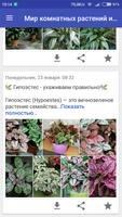 Мир комнатных растений и цветы ảnh chụp màn hình 3