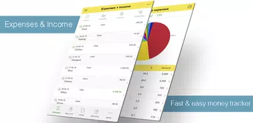 Expenses and Income Tracker