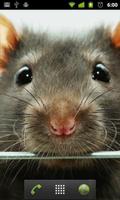 LWP-rato imagem de tela 1