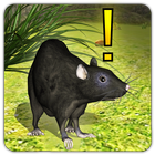 Home Rat simulator-icoon