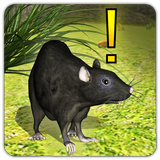 Home Rat simulator icône