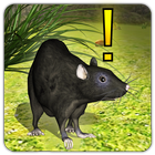 Home Rat simulator icono