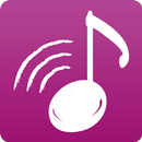 WiPlayer APK
