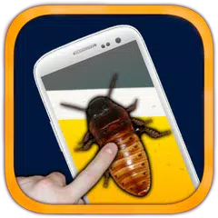🐞Crazy Phone Beer🐞 Icon