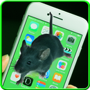 Rat Run In Your Phone Prank APK