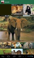 Animal Sounds screenshot 2