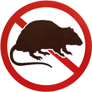 Rat Prevention-APK