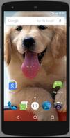 Cute Dog Puppies HD Wallpaper bài đăng