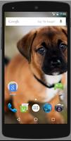 Cute Dog Puppies HD Wallpaper スクリーンショット 1
