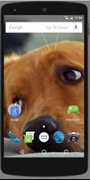 Cute Dog Puppies HD Wallpaper captura de pantalla 2
