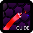 Guide for slither.io