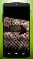 Rattlesnake Live Wallpaper capture d'écran 2