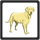 Diseases, Causes And Treatment Of The Dog APK