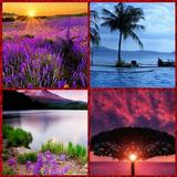 Nature Wallpaper أيقونة