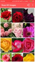 Rose Wallpaper 截图 1