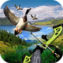 Canard chasse 2018: Tir à l'arc chasseur d'oise 3D APK