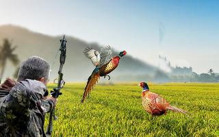 Pheasant Hunting: Archery Birds Hunter 2018 Ekran Görüntüsü 1