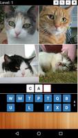 4 Pics 1 Word Poster