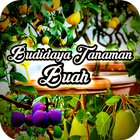 Budidaya Tanaman Buah 图标