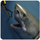 APK Angry Shark survival : Sudden Attack