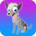 Animal Puzzles Toddlers & Kids
