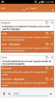 Irish Dictionary Translator capture d'écran 3