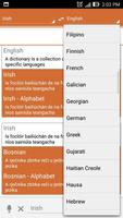 Irish Dictionary Translator ภาพหน้าจอ 1