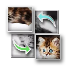 Puzzle Cat APK download