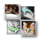 Puzzle Cat ícone