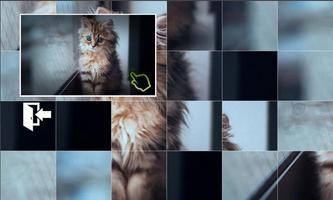 Puzzle Cat imagem de tela 3