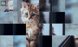 Puzzle Cat Cartaz