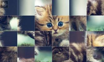 Puzzle Cat imagem de tela 2
