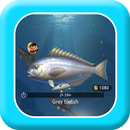 Tips for Fishing Hook APK