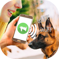 Dog Translate Sound Joke
