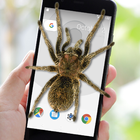 Spinne auf dem Bildschirm Witz Zeichen