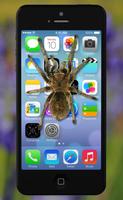 Spinne auf dem Bildschirm Witz Plakat
