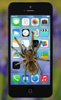 Spinne auf dem Bildschirm Witz Screenshot 3