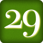 29 card game أيقونة
